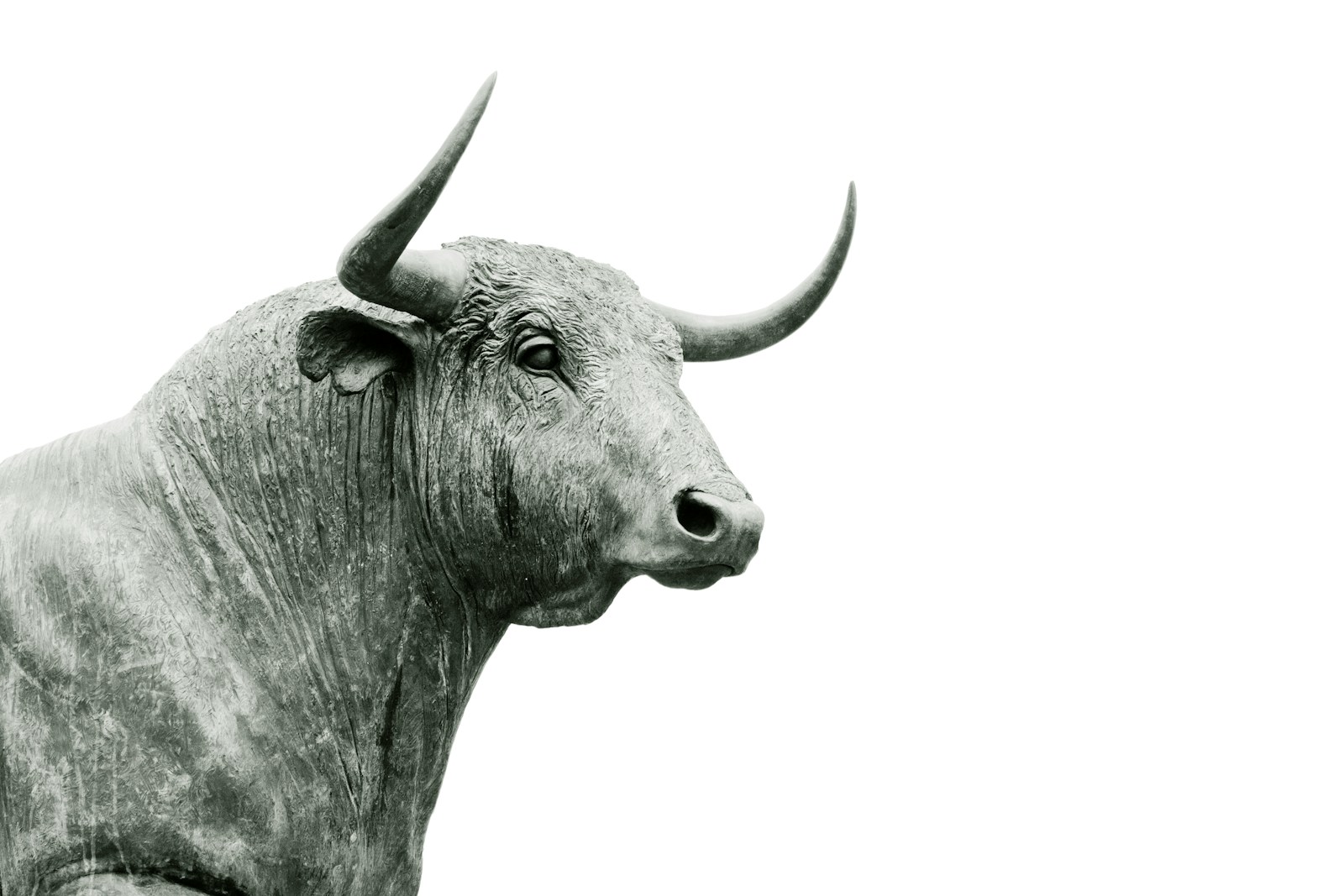 Unlocking Financial Insights: The Power of Fair Value Assessment 1 bull grayscale photo