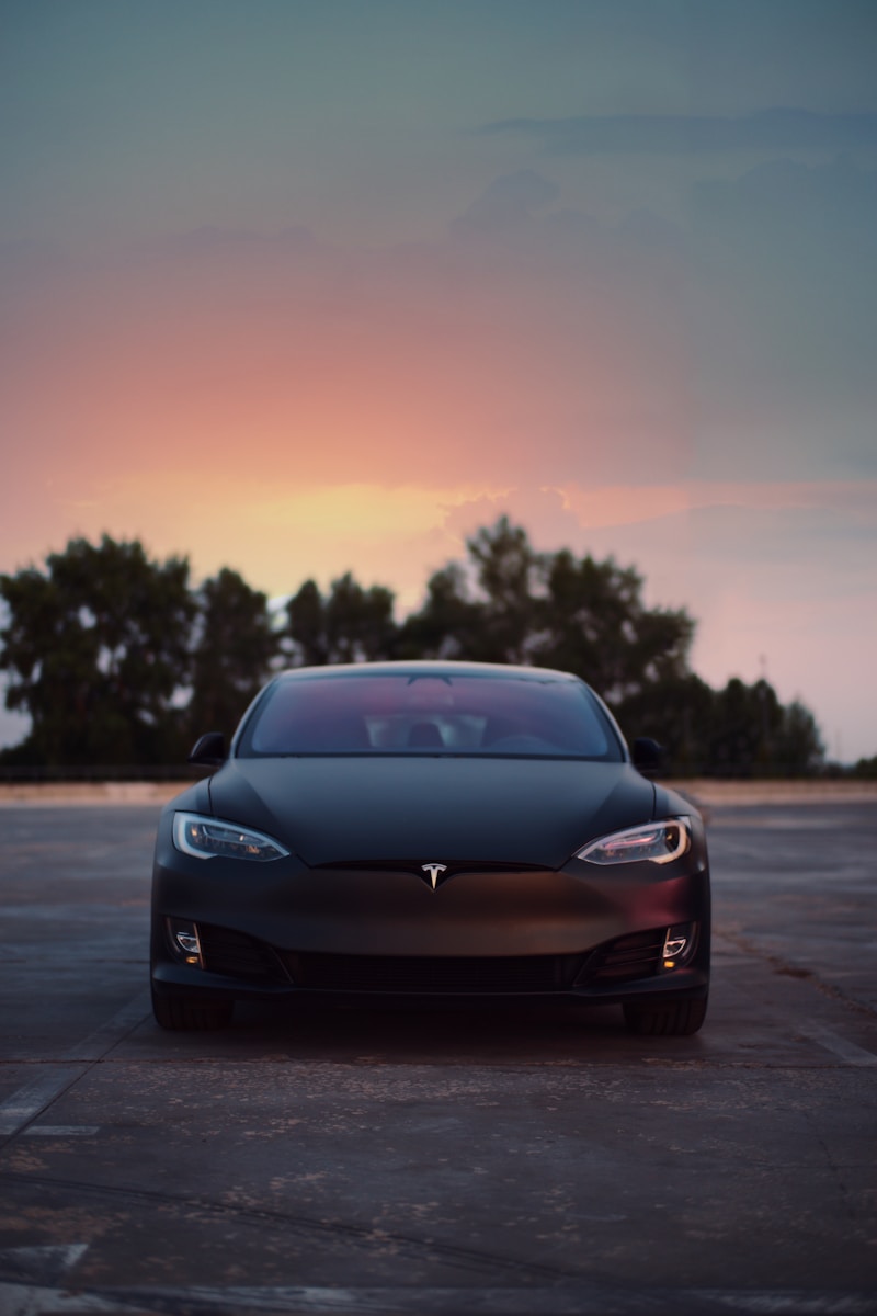 Exploring Tesla Stock: Overrated Bubble or Potential Gem by 2025 1 Tesla Stock Analysis